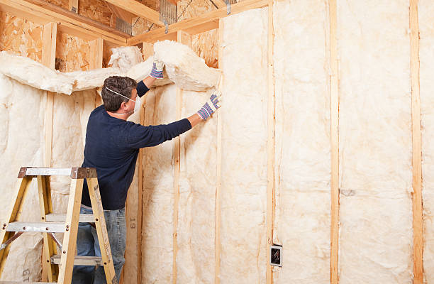 Best Fireproof Insulation  in Point Venture, TX